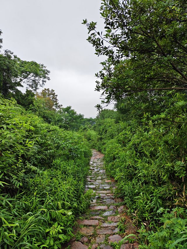 雨落金九道：苔痕石徑裡的中韓情誼與山野清歡