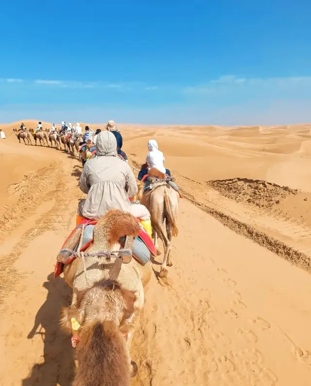 Ningxia | Yinchuan & Zhongwei 7-Day 6-Night Detailed Guide