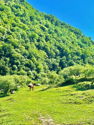 Skip Xinjiang! Shaanxi's Hidden Altay with a 20°C Summer is Absolutely Stunning!
