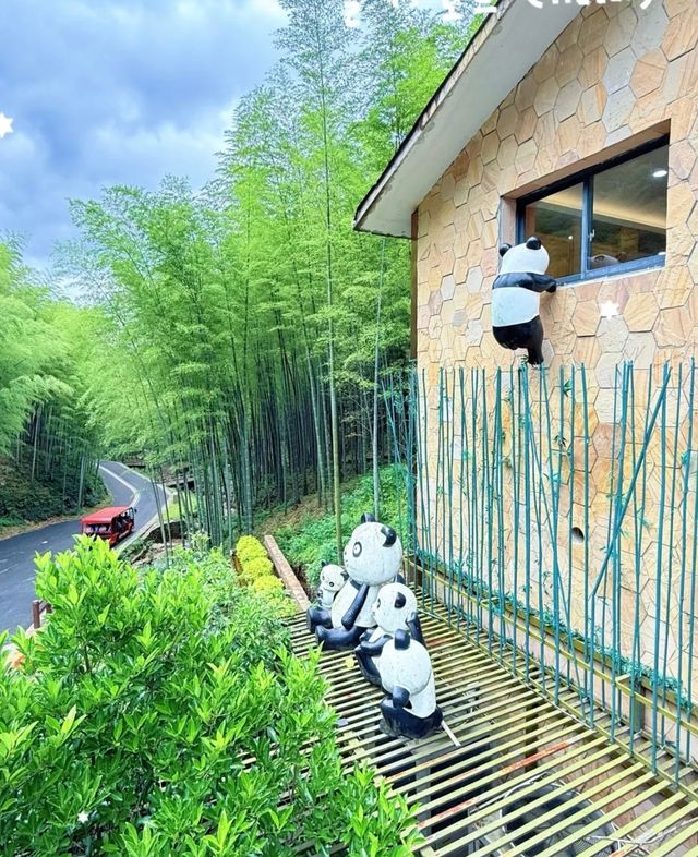 宜興竹海真實體驗：講好嘅天然氧吧？呢啲槽點不吐不快！