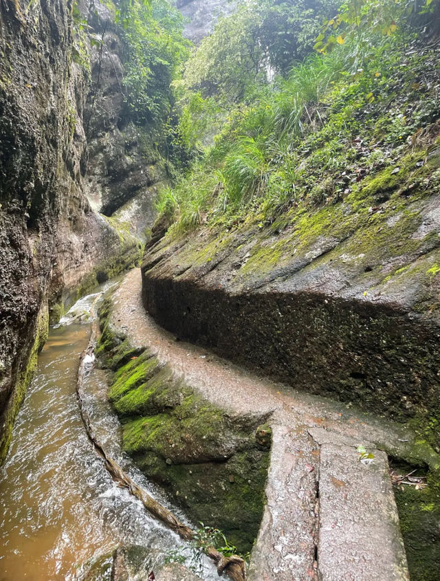 超實用嘅武夷山旅遊攻略！