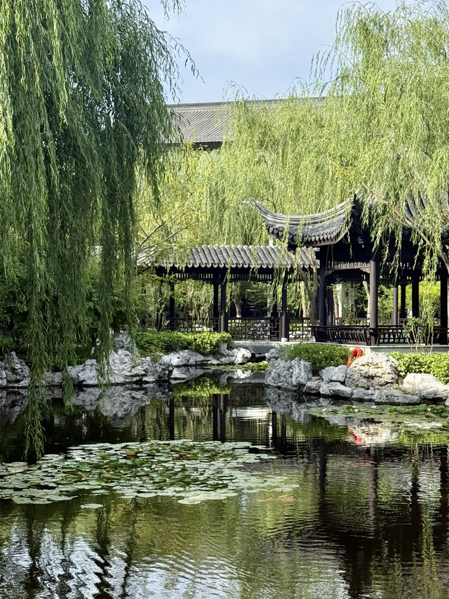 鹽城｜顛覆我認知的大洋灣希爾頓逸林酒店