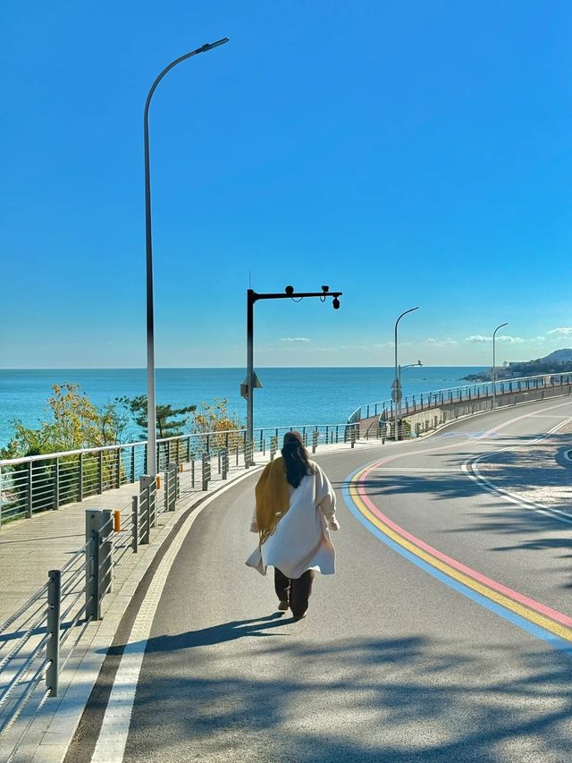 青島環海巴士1蚊暢遊路線，打卡嶗山絕美小眾風景