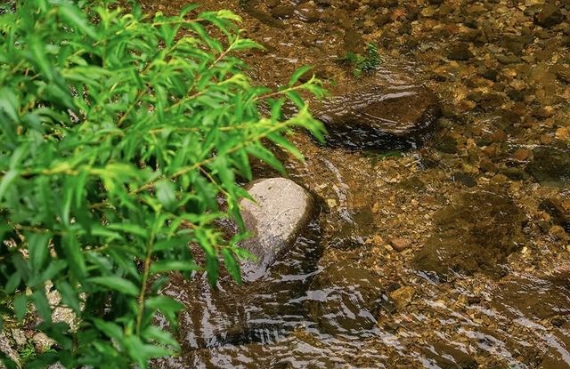 茶園村：隱於金華嘅山水詩境