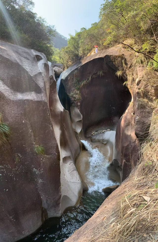 武夷山桐木峽谷｜35℃夏天呢度根本唔存在