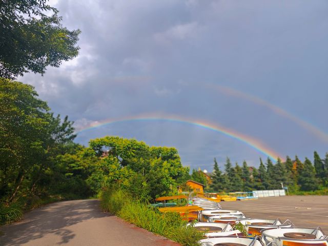 【貴州安順植物園向日葵花海深度遊】21℃清涼避暑