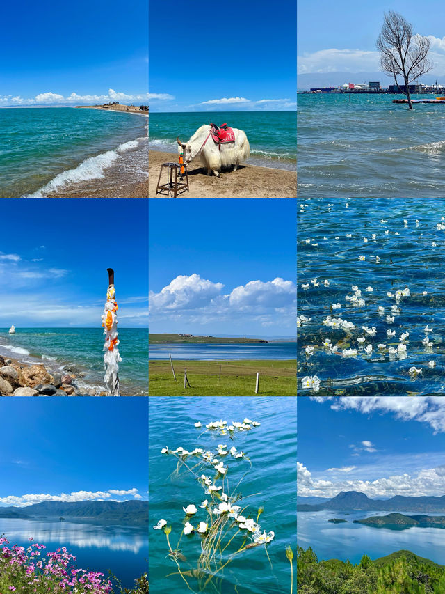 無濾鏡，在晴空下看到完美的青海湖 8月2日從西寧租車，用兩個半天沿著青海湖完成了一場悠閒的環湖之旅。