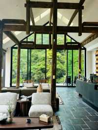 青城山周圍密林中的漫畫小屋