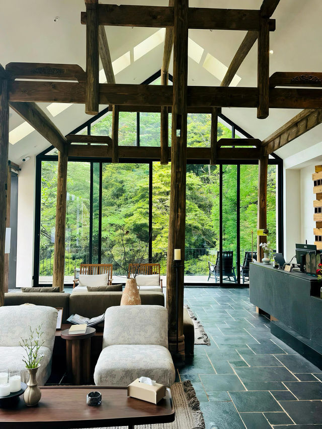 青城山周圍密林中的漫畫小屋