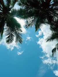 Sanya 19 Days Itinerary