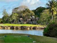 Wonderful Resort Experience at Praslin