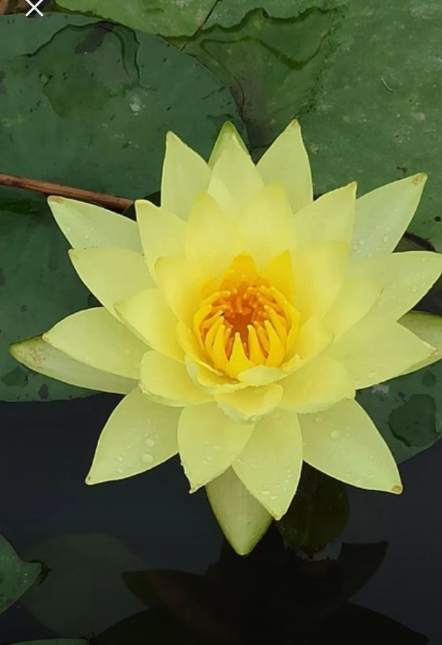 京山美人谷遊玩全攻略 陰雨天也能拍出絕美大片！
