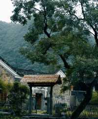 靈龍峽大拐彎