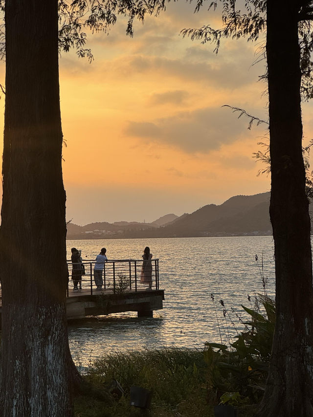 秋色湖景打卡聖地 東錢湖｜100次打卡都嫌不夠的寶藏地