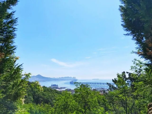 大連西尖山公園：0元解鎖山海全景的城芯秘境