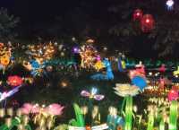 音樂百花谷：邂逅花海萌寵，共赴夜場夢幻之約