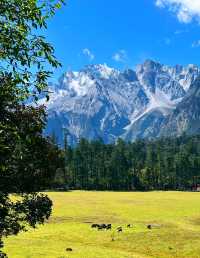 雲杉坪藍月谷打卡必去地
