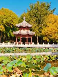 探秘北寧公園一步一景的秋日風情
