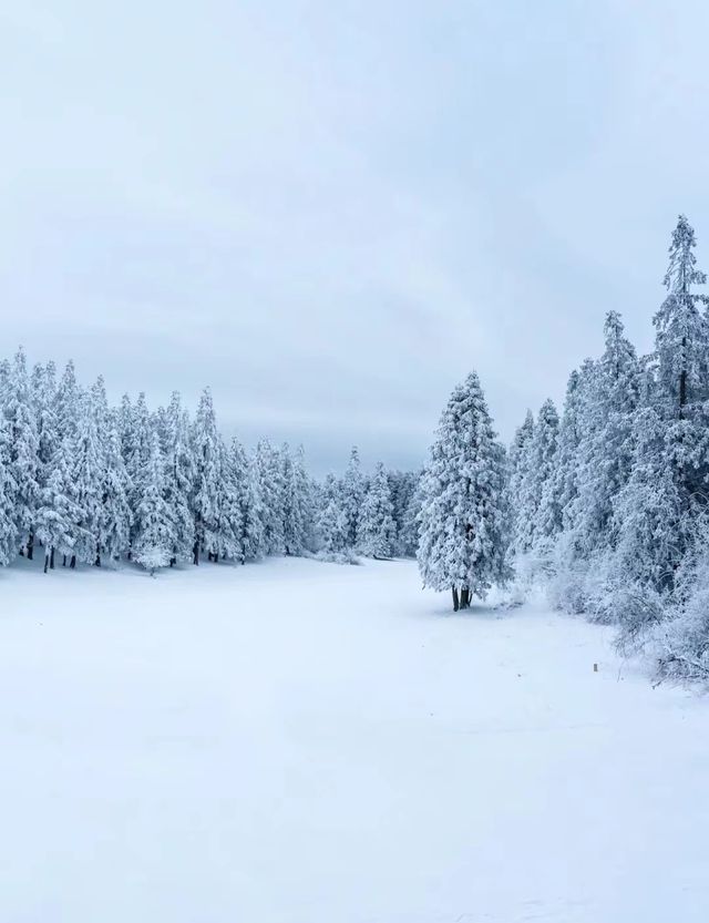 武隆仙女山
