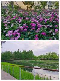 上海世博文化公園遊記