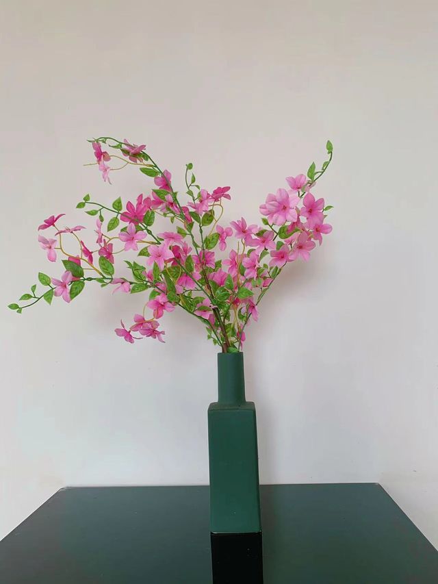 「藍海之宿」：把整片海，搬進你的窗景裡