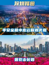 深圳帶司機包車+機場接送告別泊車打車難