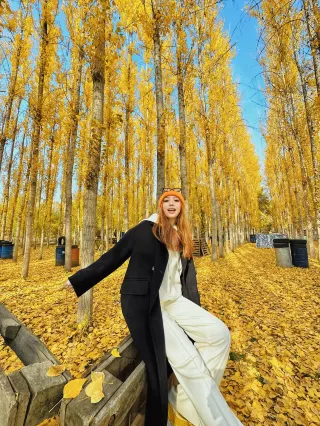 Let's lie down together in the autumn of Xinjiang