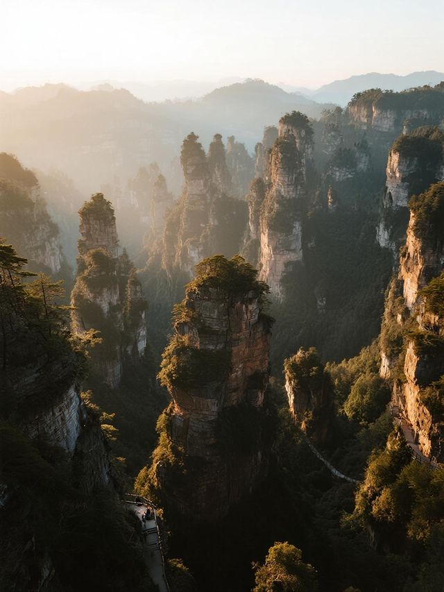 張家界親子遊新思路！中午反向乘百龍天梯，居然全程VIP通道