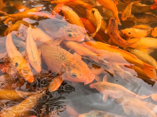 人在旅途、溫州 人在旅途、溫州