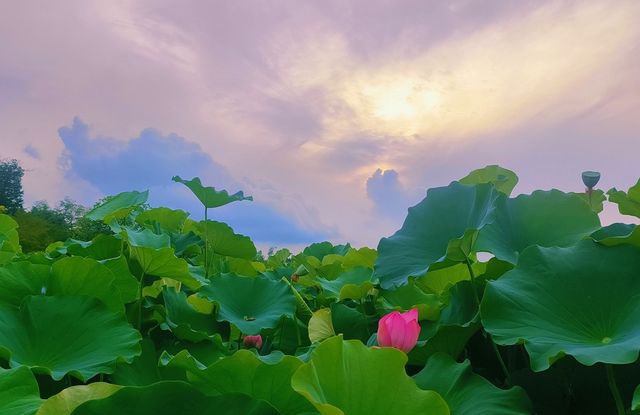 【震撼揭秘】遂寧隱藏的“人間仙境”！帶你玩轉最美的川渝秘境?