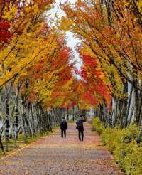 貴陽是五顏六色，多姿多彩的