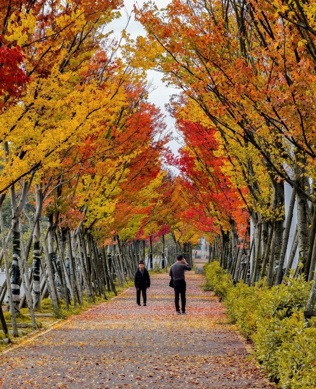 貴陽是五顏六色，多姿多彩的