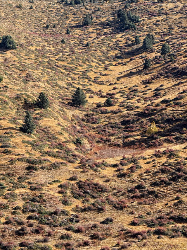 深秋徒步冷嘎措人間仙境真的太出片了！