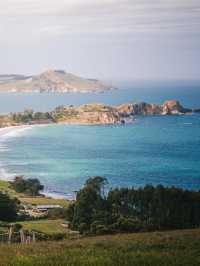 6天解鎖紐西蘭小團！人均1w+吃住行全包