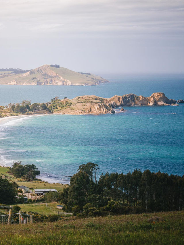 6天解鎖紐西蘭小團！人均1w+吃住行全包