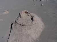 探秘樓蘭米蘭遺址:一眼千年,邂逅絲路傳奇