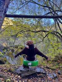 掉進川西紅葉童話成都周邊撿秋攻略！