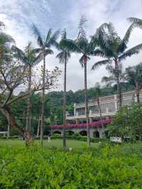 躲進觀瀾湖的秋天這份打卡攻略太治癒了!