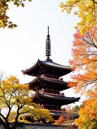 甘肅隱藏彩林秘境錯峰包場「隴上小九寨」