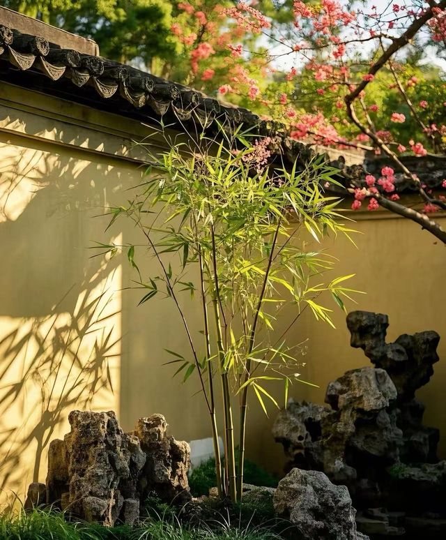 免費洗衣房專為奔波在外的你準備,鴻達酒店 免費洗衣房專為奔波在外的你準備,鴻達酒店