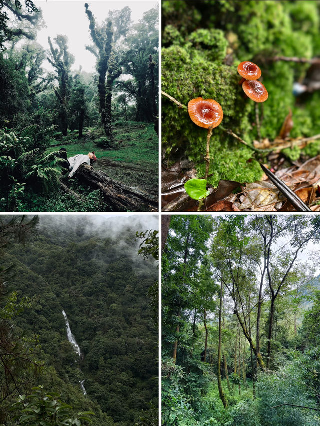 騰衝秋日｜美景+溫泉+野奢=理想假日