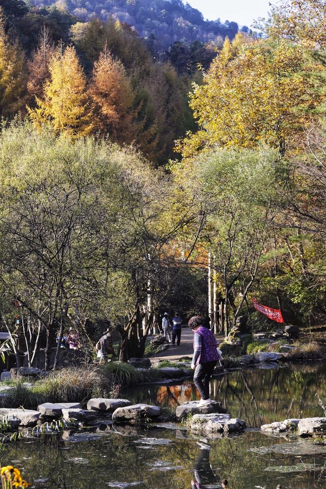 秦嶺留壩環線之情人谷