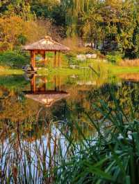 成都秋色指南：銀杏、紅楓與市井煙火交織的浪漫