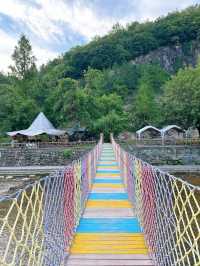 諸暨芳草地，住進了森林裡！