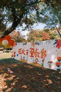 連雲港20分鐘秋景暴擊！逛個公園就闖進油畫裡