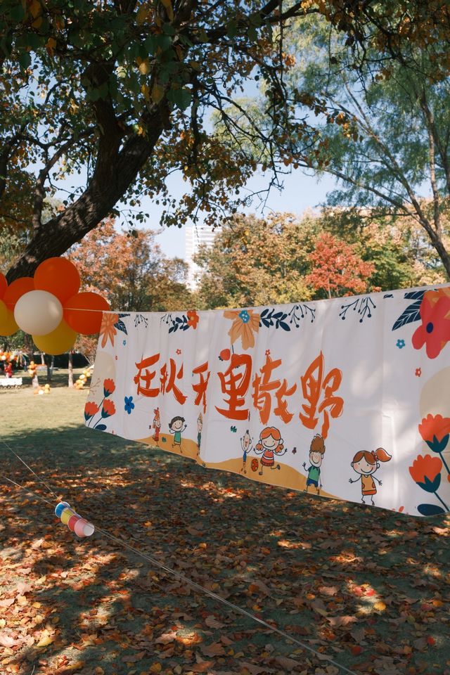 連雲港20分鐘秋景暴擊！逛個公園就闖進油畫裡