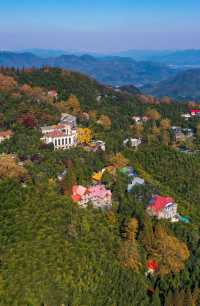 楓情莫干,醉美深秋