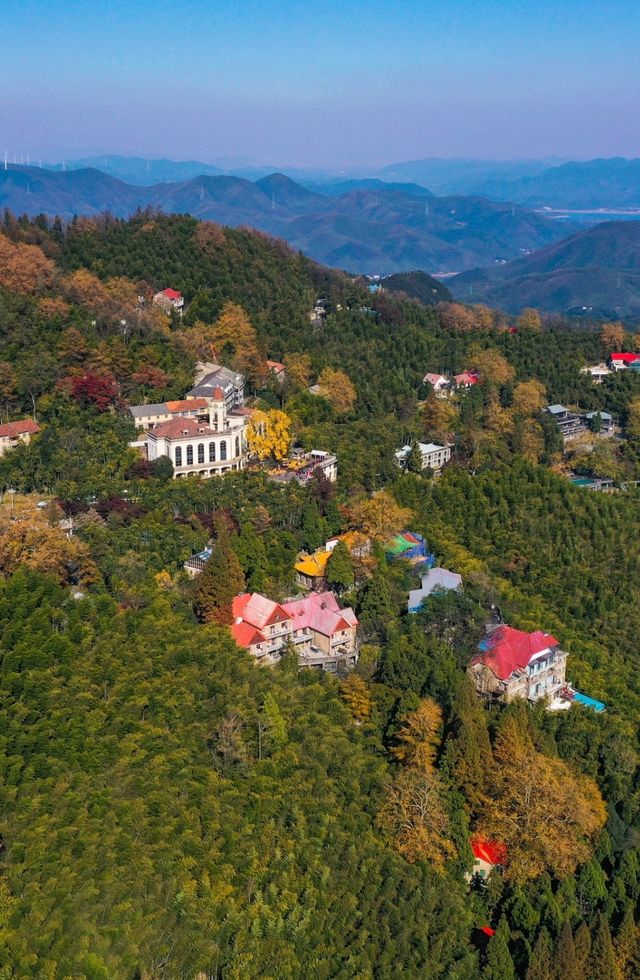 楓情莫干,醉美深秋 楓情莫干,醉美深秋