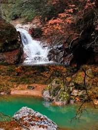 11-12月別再擠光霧山啦！這晚秋絕色我偷偷藏不住了