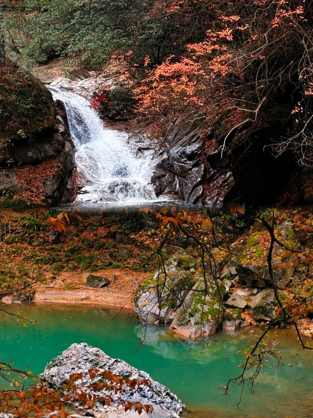 11-12月別再擠光霧山啦！這晚秋絕色我偷偷藏不住了